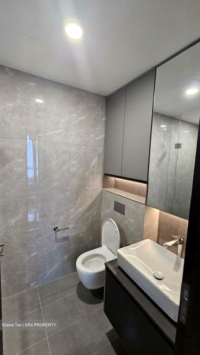 Irwell Hill Residences (D9), Apartment #535936781